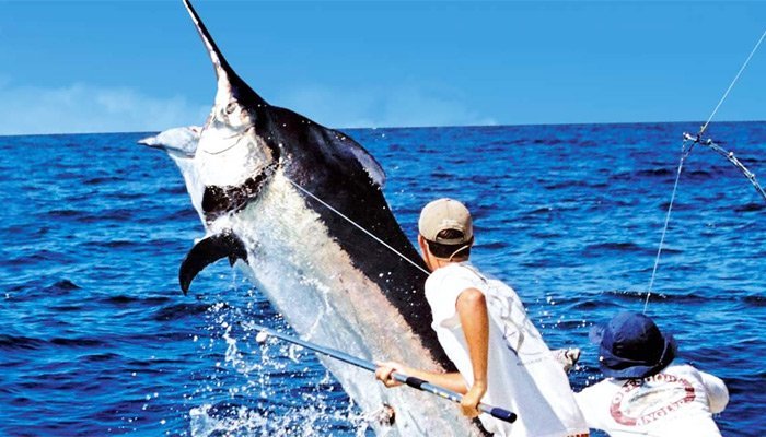 Blue Marlin Sportfishing Costa Rica